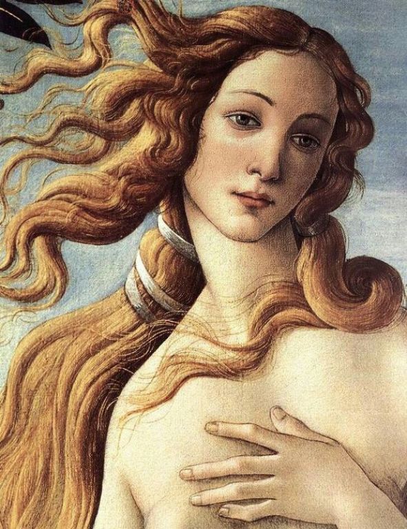 <div class='list-title'>The beauty of the Venus de Milo</div><div class='list-plustitle'>needlepoint kit</div>